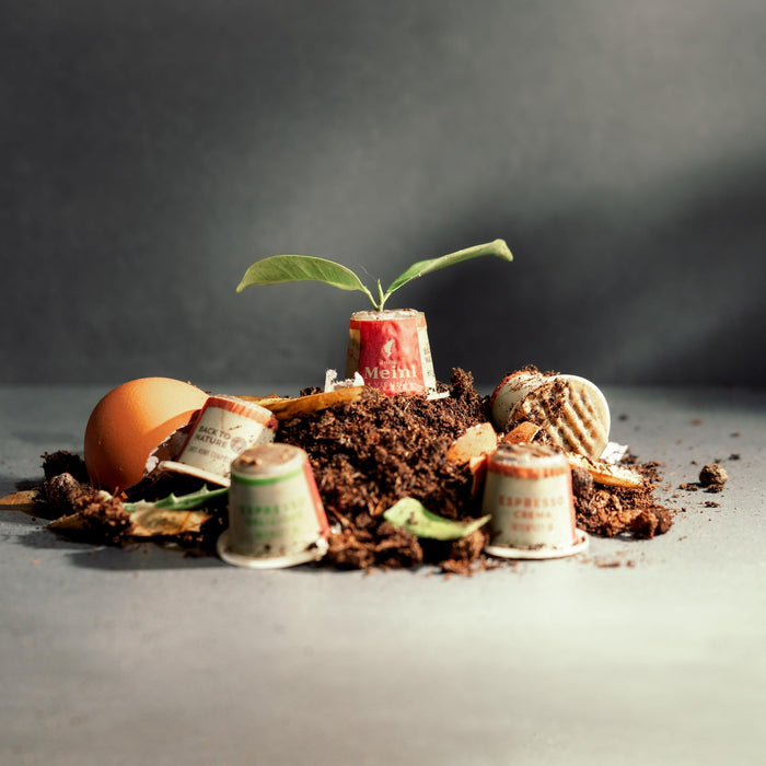 Julius Meinl Medium Roast Espresso Capsules Set, 40 Count - Coffee for Espresso Machine, Coffee Set for Kitchen & Home